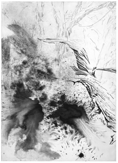 Petra Polli, N 46°32’41,6“  O 11°34’46,5“, 2016,
