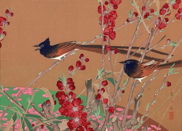 Rakusan Tsuchiya, jap. Paradies-Fliegenfänger und rote Pflaume, 1931, Farbholzschnitt