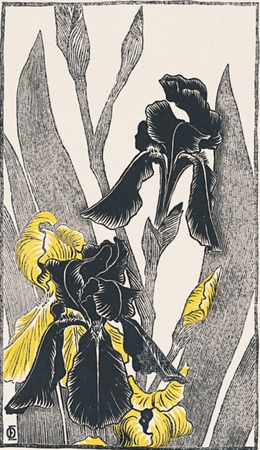 Otto Eckmann, Schwertlilien, 1895, Farbholzschnitt