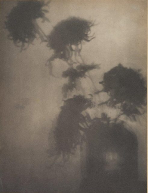 Adolphe de Meyer, The Shadows on the Wall, um 1906, Platindruck (Reprint auf Hahnemühle),