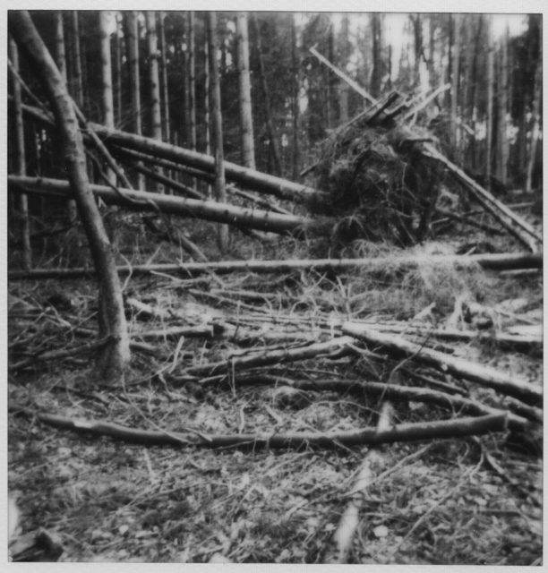 Jette Hampe, Auflösung III/289, Polaroid, 2019