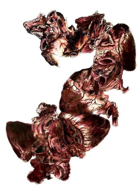 Mariella Kerscher, Kardia No 2, Tuschezeichnung, 2019