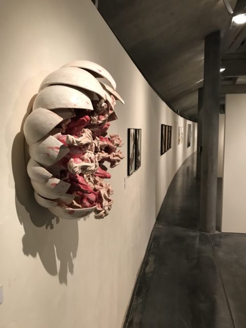 Ausstellungsansicht / Raumaufnahme BLICK FANG 2020 @ Kunsthaus Kaufbeuren