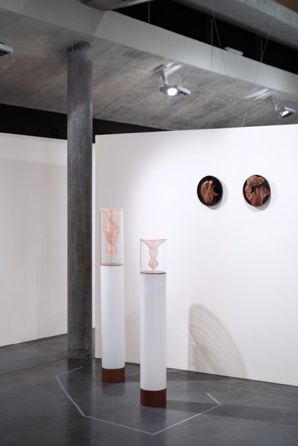 Ausstellungsansicht / Raumaufnahme BLICK FANG 2020 @ Kunsthaus Kaufbeuren