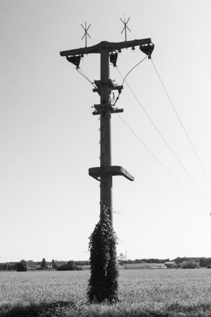 Verena Hägler, Saltroad #059, Inkjetprint, 2019