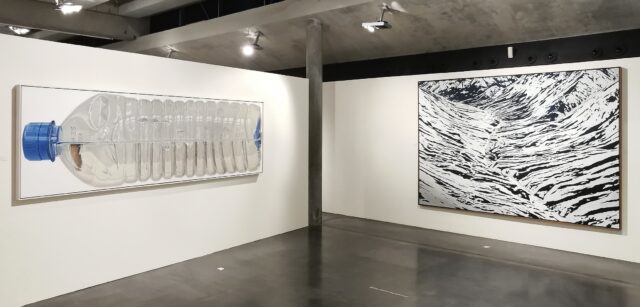 Ausstellungsansicht mit Werken von René Wirths (Wasserflasche, 2014, Öl auf Leinwand, 90 x 300 cm) und Sven Drühl (SDSS (Invers Mirror), 2016, Lack auf Leinwand, 180 x 260 cm)