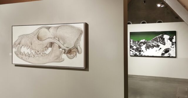 Ausstellungsansicht mit Werken von René Wirths (Fuchsschädel, 2017, Öl auf Leinwand, 70 x 150 cm) und Sven Drühl (SDNN, 2022, Öl und Lack auf Leinwand, 100 x 180 cm)